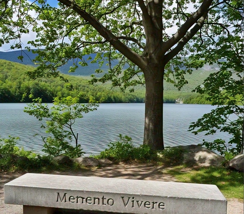 Memento Vivere
